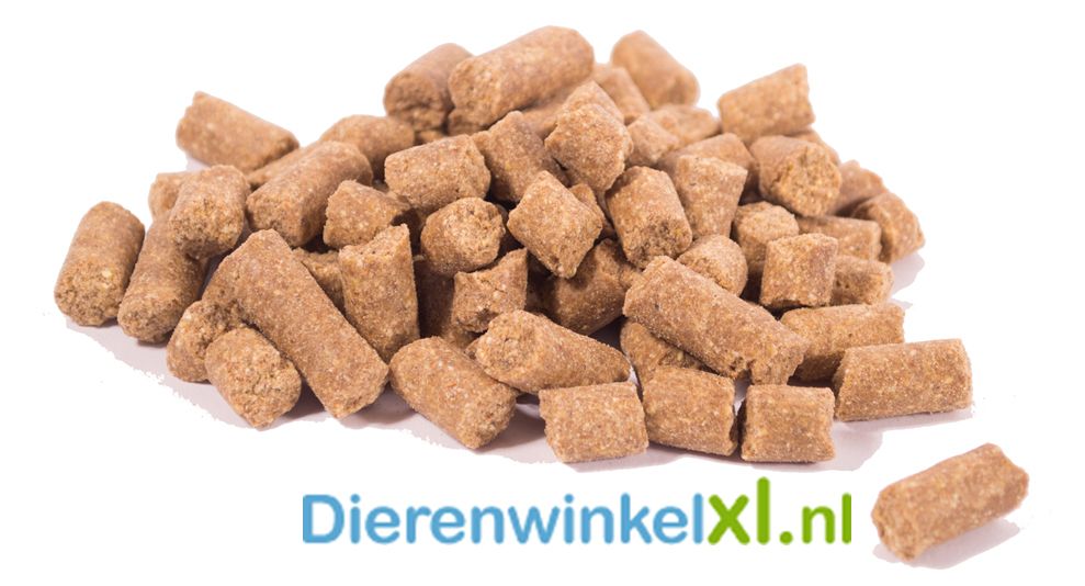 Bikkel Premium Persbrok Zalm Hondenvoer