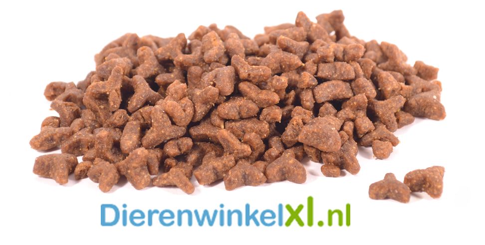 Bikkel Premium Kat Adult