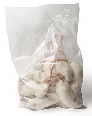 Kiezebrink Ingevroren Rat Regular 150 250gr. Knaagdierenvoer