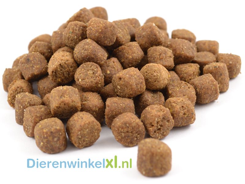 Bikkel Premium Pup Large Breed Hondenvoer