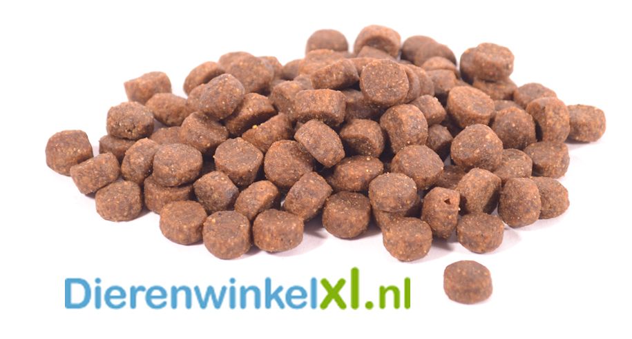 Bikkel Premium Maintenance Small Breed Hondenvoer