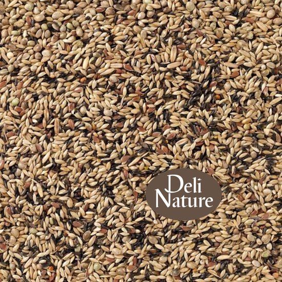 Deli Nature Kanariezaad Zonder Raapzaad (Nr. 80) Vogelvoer