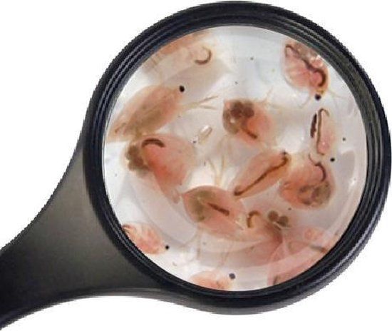Levende Watervlooien 90 Ml Visvoer