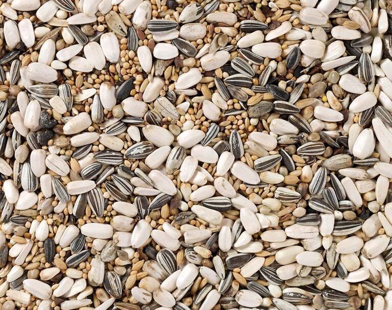 Deli Nature Grote Parkiet Standaard (Nr.59) 15kg Vogelvoer