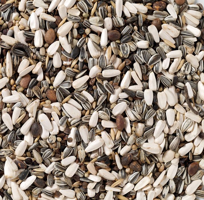 Deli Nature Papegaai Kweek (Nr. 62) 15kg Vogelvoer