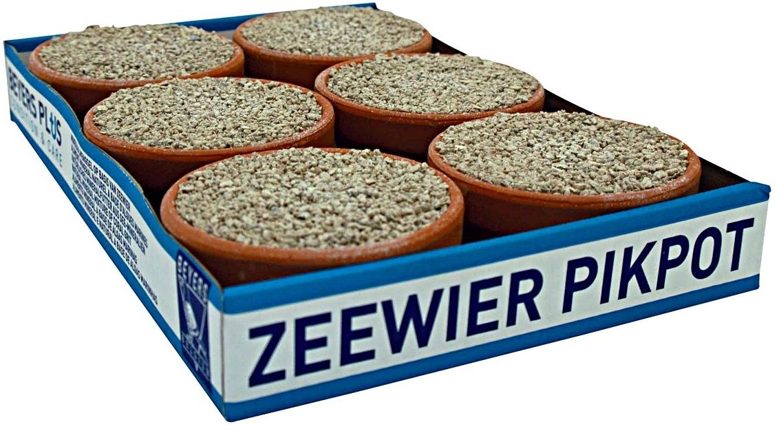 Beyers Zeewier Pikpot Vogelvoer