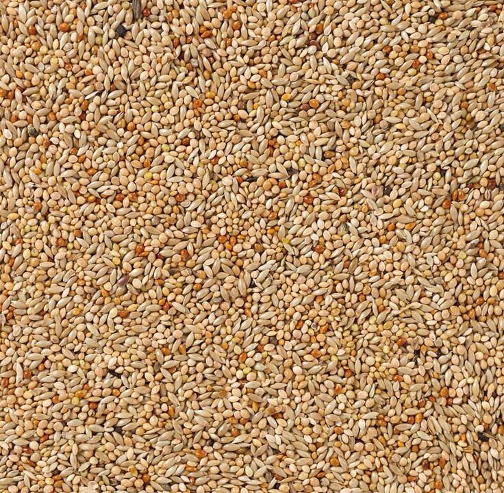 Deli Nature Tropische Vogels Basis (Nr. 40) 20kg