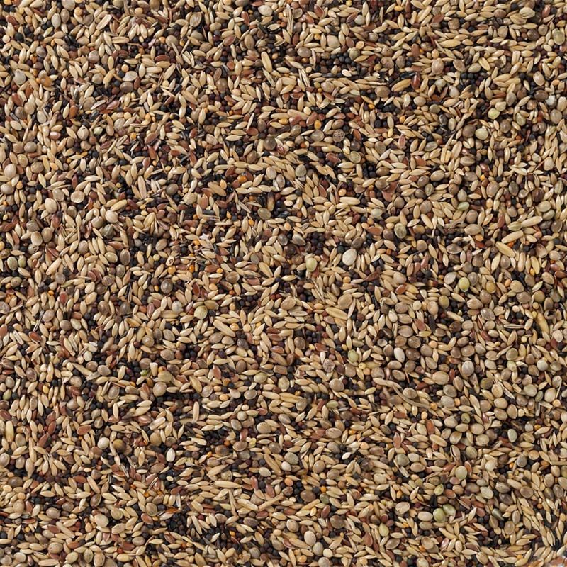 Deli Nature Europese Vogels (Nr. 91) 20kg