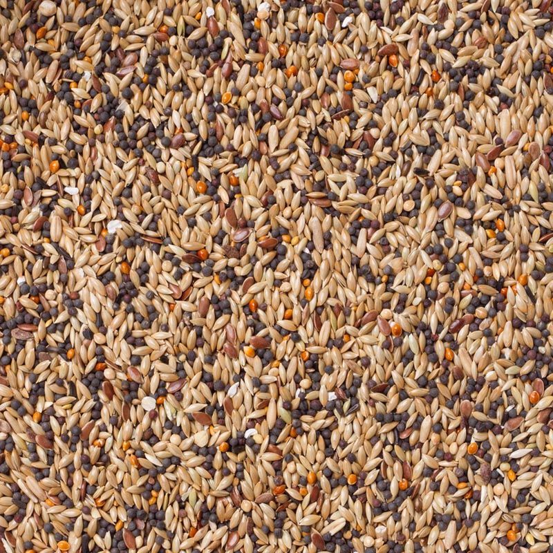 Deli Nature Vinken Winter Rust (Nr. 95) 20kg Vogelvoer