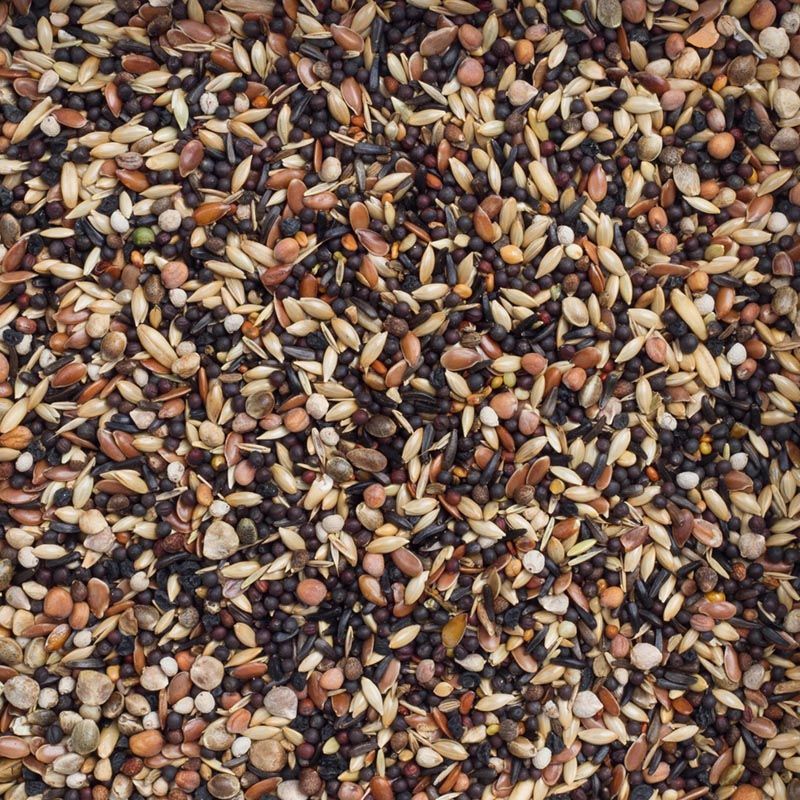 Deli Nature Europese Vogels Basis (Nr. 99) 20kg