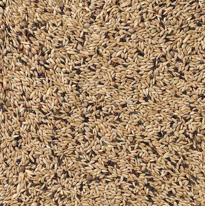 Deli Nature Kanarie Light (Nr. 65) 20kg Vogelvoer
