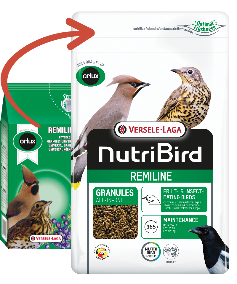 Nutribird Remiline Pateekorrel 1kg Vogelvoer