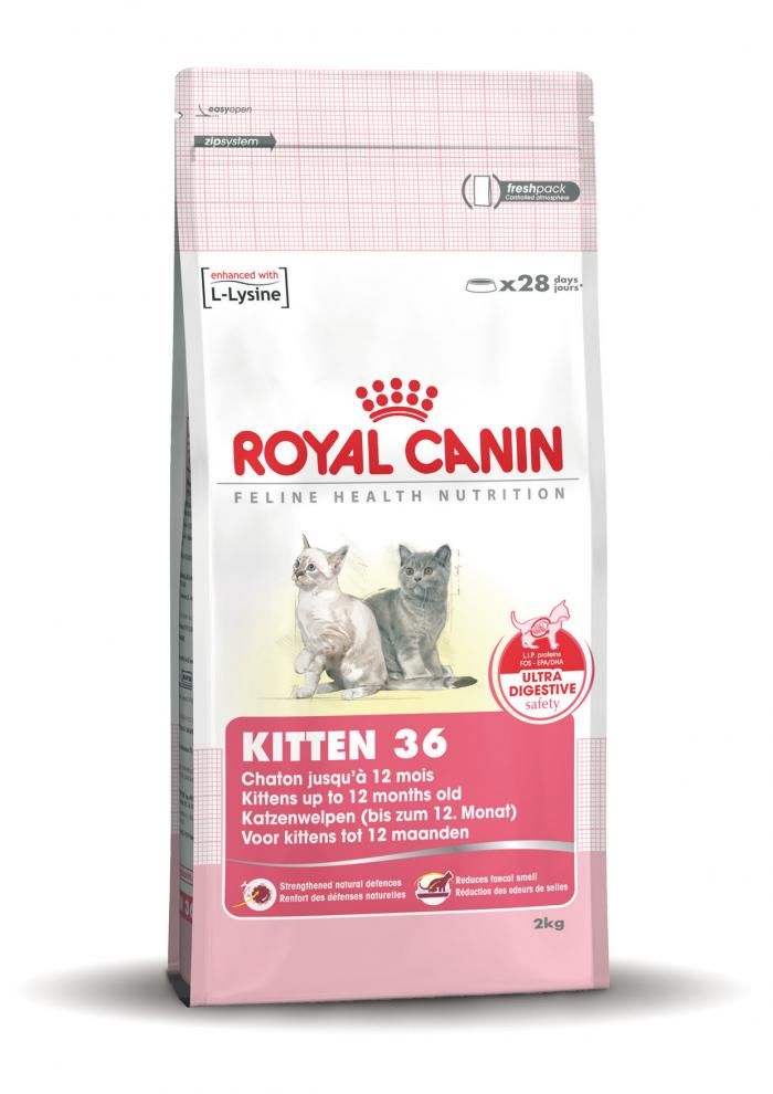 Royal Canin Kitten Kattenvoer