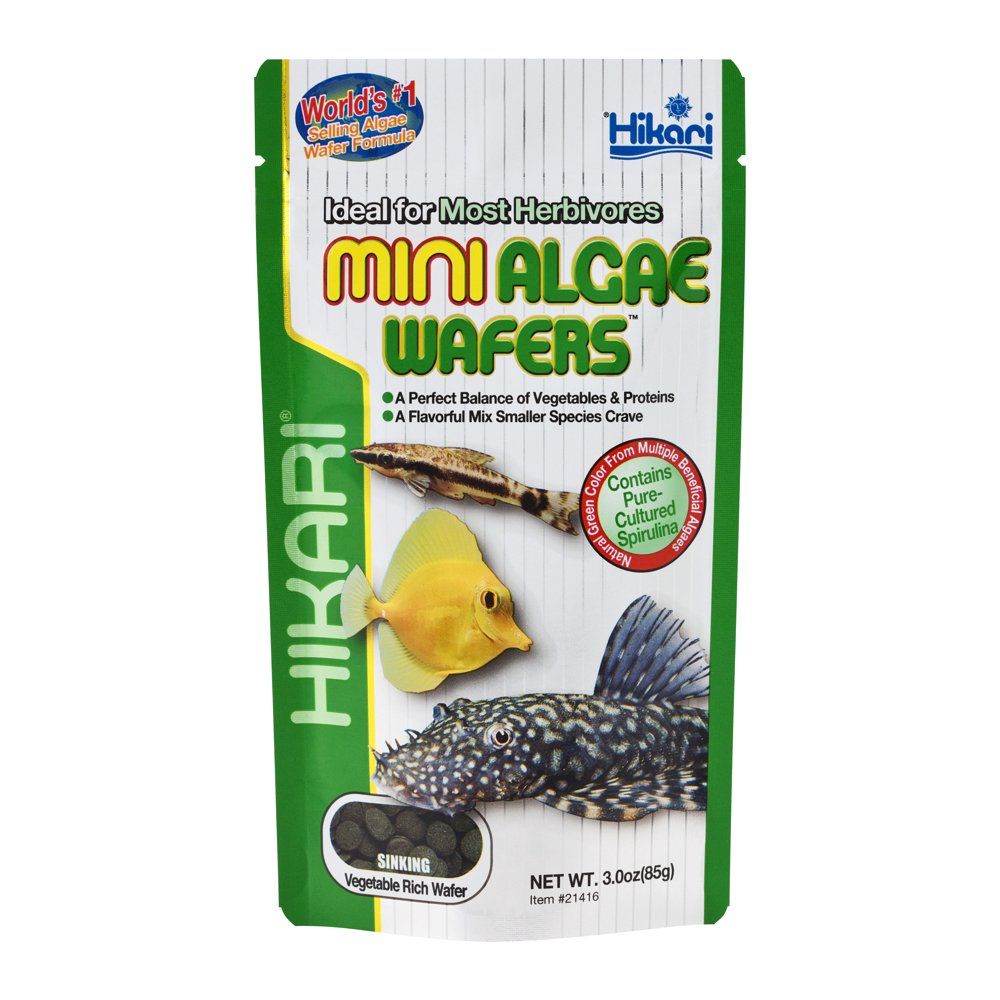 Hikari Mini Algea Wafers Visvoer