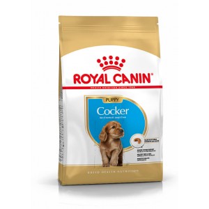 Royal Canin Puppy Cocker Spaniel Hondenvoer 3 Kg