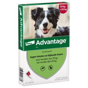 Advantage Nr. 250 Vlooienmiddel (10 Tot ) Hond 1 Verpakking
