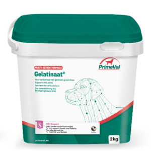 Primeval Gelatinaat Voor De Hond