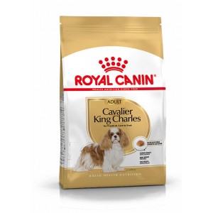 Royal Canin Adult Cavalier King Charles Hondenvoer