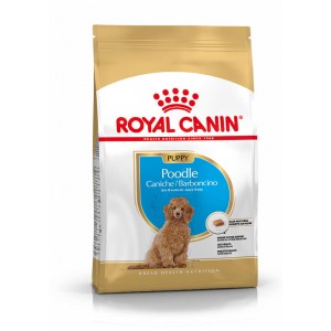 Royal Canin Puppy Poodle Hondenvoer