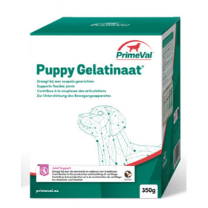 Primeval Puppy Gelatinaat Voor De Hond