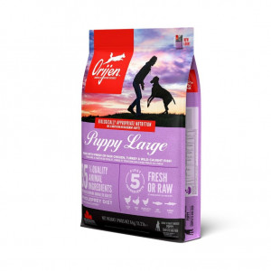 Orijen Puppy Large Hondenvoer
