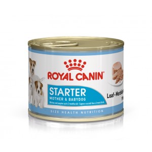 Royal Canin Starter Mother & Babydog Natvoer Hond (Mousse) 2 Trays ( )