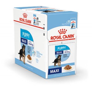 Royal Canin Maxi Puppy Natvoer Hond (In Saus) 2 Dozen ( )