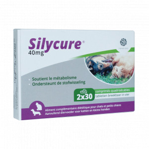 Fendigo Silycure 40 Mg Tabletten Voor Katten En Kleine Honden 60 Tabletten
