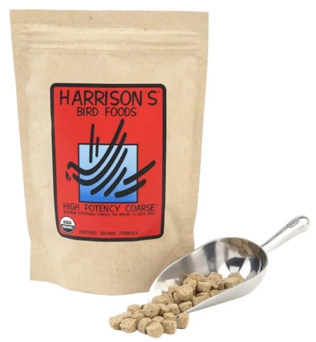 Natural Health Cat - Basic 5 Adult