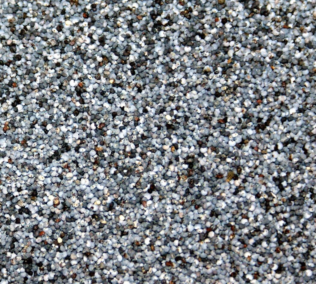 Blauwmaanzaad 500gr