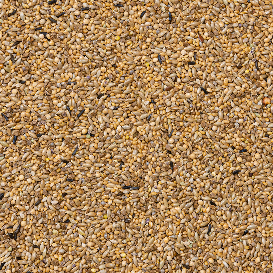 Deli Nature Zebravink Supreme (Nr. 42), 20kg