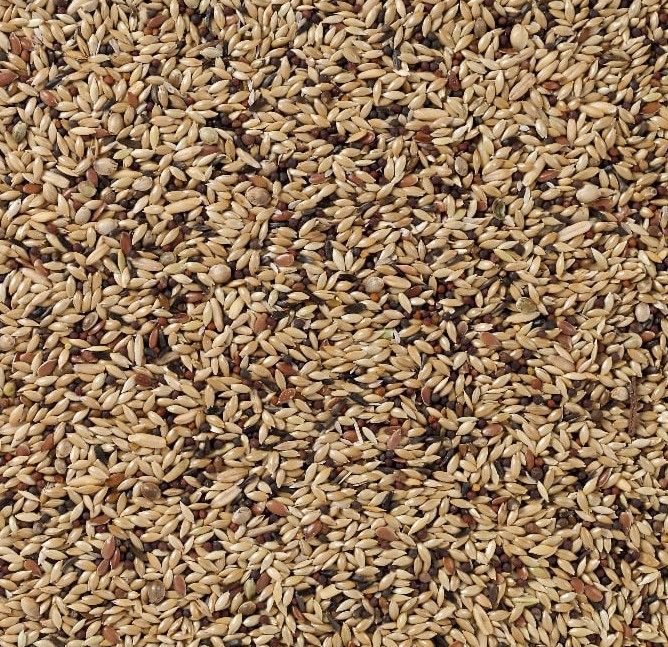 Deli Nature Kanariezaad Supreme (Nr. 55) Vogelvoer